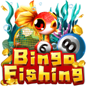 Câu Cá Bingo shbeet